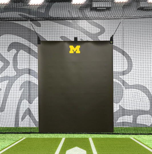 5' x 6' - YOUR CUSTOM LOGO Baseball Backstop - Vinyl Batting Cage Backstop