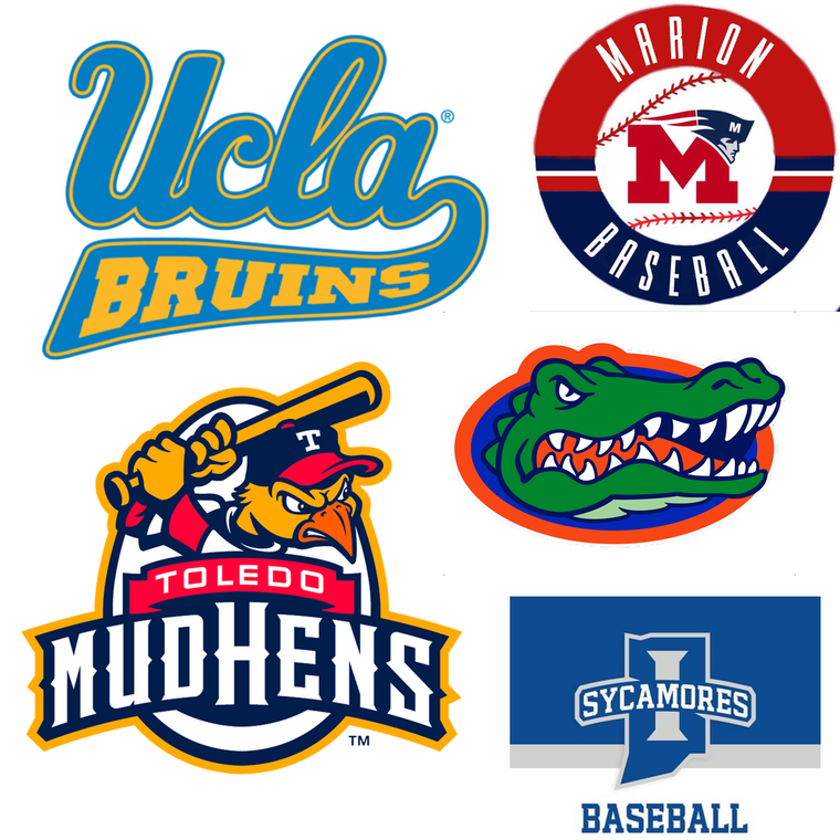 5' X 8' Vinyl Heavy Duty Baseball Batting Cage Backstop - The #1 Selling Backstop In USA. - SZP - Foto 10